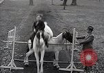 Image of Nine year old boy champion equestrian Wilmington Ohio USA, 1935, second 45 stock footage video 65675038436