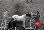 Image of Nine year old boy champion equestrian Wilmington Ohio USA, 1935, second 46 stock footage video 65675038436