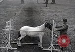 Image of Nine year old boy champion equestrian Wilmington Ohio USA, 1935, second 47 stock footage video 65675038436