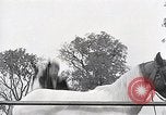 Image of Nine year old boy champion equestrian Wilmington Ohio USA, 1935, second 50 stock footage video 65675038436