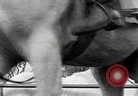 Image of Nine year old boy champion equestrian Wilmington Ohio USA, 1935, second 53 stock footage video 65675038436