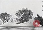 Image of Nine year old boy champion equestrian Wilmington Ohio USA, 1935, second 55 stock footage video 65675038436