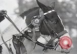 Image of Nine year old boy champion equestrian Wilmington Ohio USA, 1935, second 60 stock footage video 65675038436