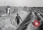 Image charrue géant Santa Ana California USA, 1937, de la seconde 42 séquences d'archives historiques vidéo 65675038441