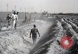 Image charrue géant Santa Ana California USA, 1937, de la seconde 44 séquences d'archives historiques vidéo 65675038441