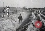 Image charrue géant Santa Ana California USA, 1937, de la seconde 47 séquences d'archives historiques vidéo 65675038441
