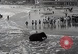 Image éléphant Atlantic City New Jersey USA, 1937, de la seconde 12 séquences d'archives historiques vidéo 65675038442