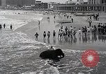 Image éléphant Atlantic City New Jersey USA, 1937, de la seconde 13 séquences d'archives historiques vidéo 65675038442