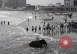 Image éléphant Atlantic City New Jersey USA, 1937, de la seconde 14 séquences d'archives historiques vidéo 65675038442