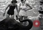Image éléphant Atlantic City New Jersey USA, 1937, de la seconde 18 séquences d'archives historiques vidéo 65675038442