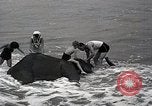 Image éléphant Atlantic City New Jersey USA, 1937, de la seconde 22 séquences d'archives historiques vidéo 65675038442