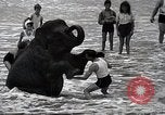 Image éléphant Atlantic City New Jersey USA, 1937, de la seconde 25 séquences d'archives historiques vidéo 65675038442