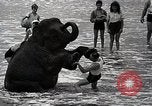 Image éléphant Atlantic City New Jersey USA, 1937, de la seconde 26 séquences d'archives historiques vidéo 65675038442