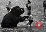 Image éléphant Atlantic City New Jersey USA, 1937, de la seconde 28 séquences d'archives historiques vidéo 65675038442