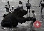Image éléphant Atlantic City New Jersey USA, 1937, de la seconde 30 séquences d'archives historiques vidéo 65675038442