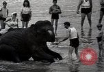 Image éléphant Atlantic City New Jersey USA, 1937, de la seconde 31 séquences d'archives historiques vidéo 65675038442