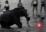 Image éléphant Atlantic City New Jersey USA, 1937, de la seconde 32 séquences d'archives historiques vidéo 65675038442