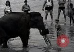 Image éléphant Atlantic City New Jersey USA, 1937, de la seconde 34 séquences d'archives historiques vidéo 65675038442
