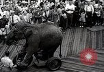 Image éléphant Atlantic City New Jersey USA, 1937, de la seconde 57 séquences d'archives historiques vidéo 65675038442