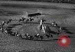 Standbild faschistischen Jugendorganisation Rom Italien, 1937, aus Sekunde 49 historischem Filmmaterial Videoclip 65675038444