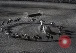 Standbild faschistischen Jugendorganisation Rom Italien, 1937, aus Sekunde 50 historischem Filmmaterial Videoclip 65675038444
