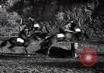 Standbild faschistischen Jugendorganisation Rom Italien, 1937, aus Sekunde 55 historischem Filmmaterial Videoclip 65675038444