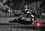 Standbild faschistischen Jugendorganisation Rom Italien, 1937, aus Sekunde 57 historischem Filmmaterial Videoclip 65675038444