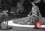 Immagine di Le stelle del cinema Hollywood Los Angeles California USA, 1937, secondo 52 filmato di repertorio 65675038446