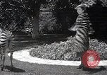 Immagine di Le stelle del cinema Hollywood Los Angeles California USA, 1937, secondo 53 filmato di repertorio 65675038446