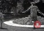 Immagine di Le stelle del cinema Hollywood Los Angeles California USA, 1937, secondo 54 filmato di repertorio 65675038446