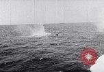 Image of United States Coast Guard Women's Reserve United States USA, 1943, second 54 stock footage video 65675038512