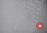 Image of Boxer aircraft carrier Korea, 1952, second 14 stock footage video 65675038515