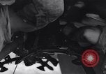 Image of pound bombs Korea, 1950, second 36 stock footage video 65675038525