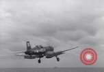Image of F4U aircraft Korea, 1950, second 37 stock footage video 65675038526