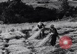 Image of Peaceful scenes in prewar Japan Europe, 1938, second 16 stock footage video 65675038554