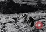 Image of Peaceful scenes in prewar Japan Europe, 1938, second 17 stock footage video 65675038554