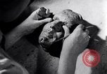 Image of Hitler Youth Germany, 1937, second 36 stock footage video 65675038556