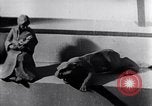 Image of Hitler Youth Germany, 1937, second 42 stock footage video 65675038556