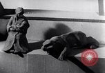 Image of Hitler Youth Germany, 1937, second 43 stock footage video 65675038556
