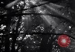 Image of Hitler Youth Germany, 1937, second 4 stock footage video 65675038558