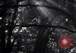 Image of Hitler Youth Germany, 1937, second 5 stock footage video 65675038558