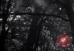 Image of Hitler Youth Germany, 1937, second 6 stock footage video 65675038558