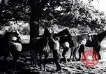 Image of Hitler Youth Germany, 1937, second 8 stock footage video 65675038558