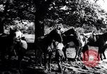 Image of Hitler Youth Germany, 1937, second 9 stock footage video 65675038558