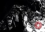 Image of Hitler Youth Germany, 1937, second 12 stock footage video 65675038558