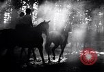 Image of Hitler Youth Germany, 1937, second 34 stock footage video 65675038558