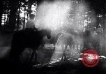 Image of Hitler Youth Germany, 1937, second 39 stock footage video 65675038558