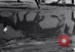 Image of Hitler Youth Germany, 1937, second 43 stock footage video 65675038558