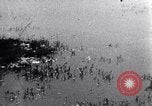 Image of Hitler Youth Germany, 1937, second 58 stock footage video 65675038558
