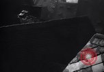 Image drapeaux nazis affichée partout Allemagne, 1934, de la seconde 11 séquences d'archives historiques vidéo 65675038562